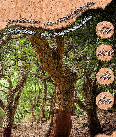 Portada del catálogo Eco-Friendly